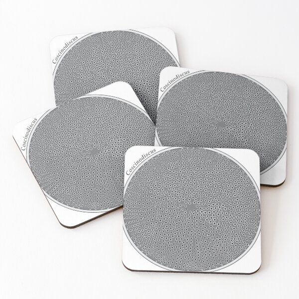 Item preview, Diatom - Coscinodiscus (scientific) designed and sold by braden-galina.