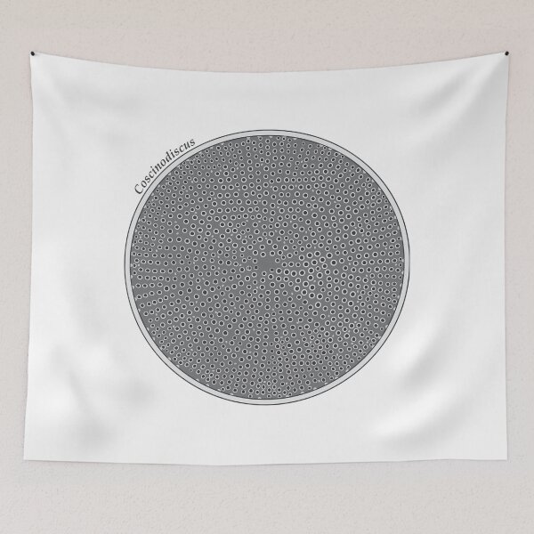Item preview, Diatom - Coscinodiscus (scientific) designed and sold by braden-galina.