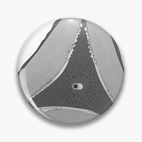 Item preview, Diatom - Ditylum - Artwork designed and sold by braden-galina.