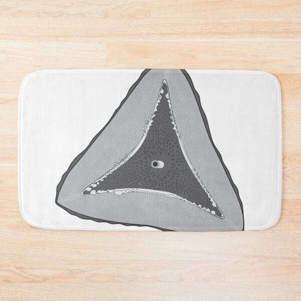 Item preview, Diatom - Ditylum - Artwork designed and sold by braden-galina.