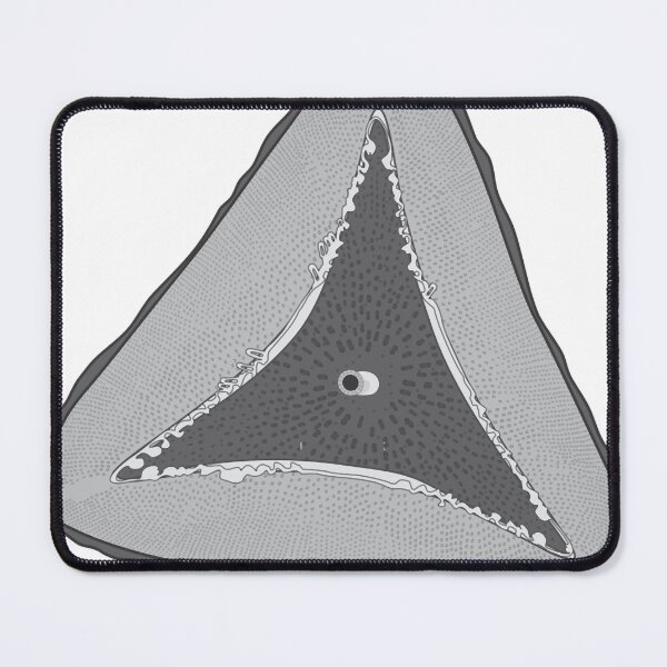 Item preview, Diatom - Ditylum - Artwork designed and sold by braden-galina.