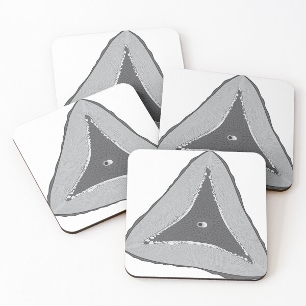 Item preview, Diatom - Ditylum - Artwork designed and sold by braden-galina.