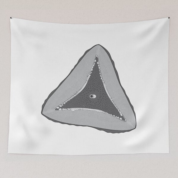 Item preview, Diatom - Ditylum - Artwork designed and sold by braden-galina.