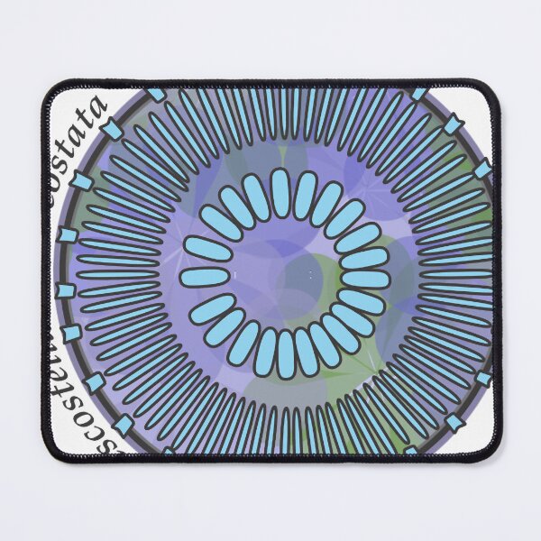 Item preview, Diatom - Discostella asterocostata (scientific) designed and sold by braden-galina.