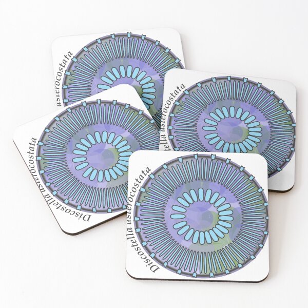 Item preview, Diatom - Discostella asterocostata (scientific) designed and sold by braden-galina.