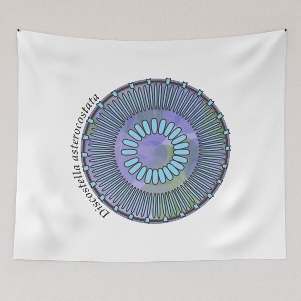 Item preview, Diatom - Discostella asterocostata (scientific) designed and sold by braden-galina.