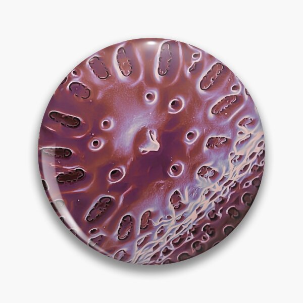 Item preview, Diatom - Ditylum (internal, purple) Graphic designed and sold by braden-galina.