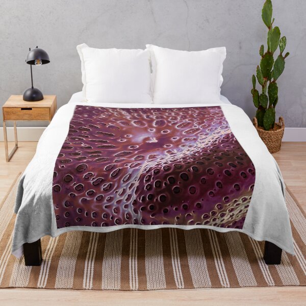 Item preview, Diatom - Ditylum (internal, purple) Graphic designed and sold by braden-galina.