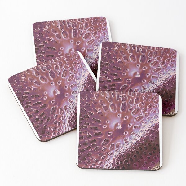 Item preview, Diatom - Ditylum (internal, purple) Graphic designed and sold by braden-galina.