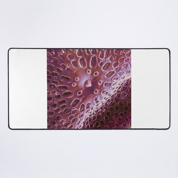 Item preview, Diatom - Ditylum (internal, purple) Graphic designed and sold by braden-galina.
