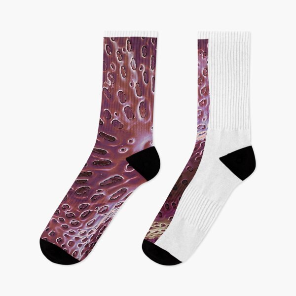 Item preview, Diatom - Ditylum (internal, purple) Graphic designed and sold by braden-galina.