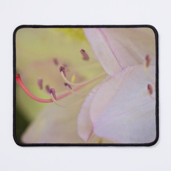 Item preview, Light Pink designed and sold by D-GaP.
