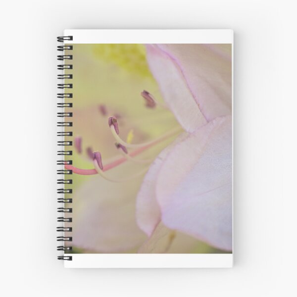 Item preview, Light Pink designed and sold by D-GaP.