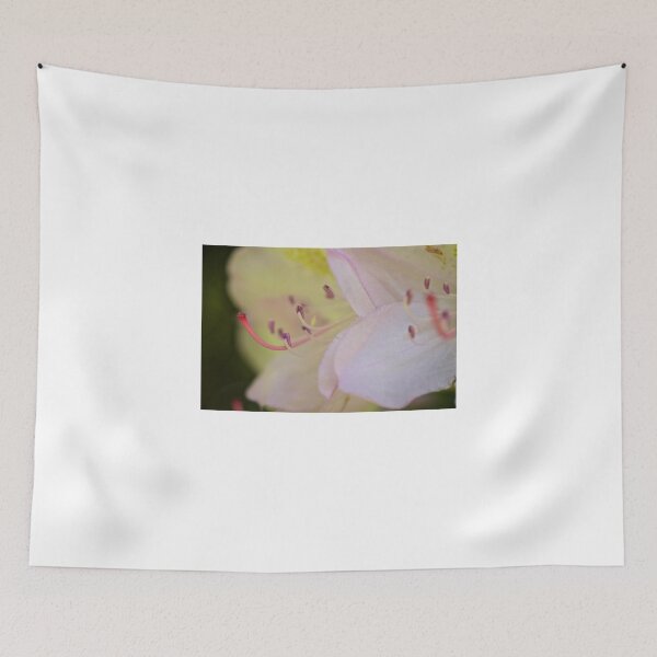 Item preview, Light Pink designed and sold by D-GaP.