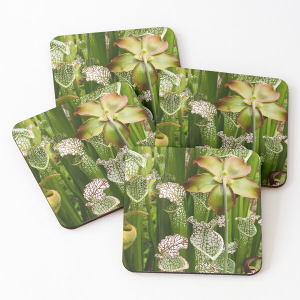 Item preview, Hooded Pitcher Plant designed and sold by Hoxypox.