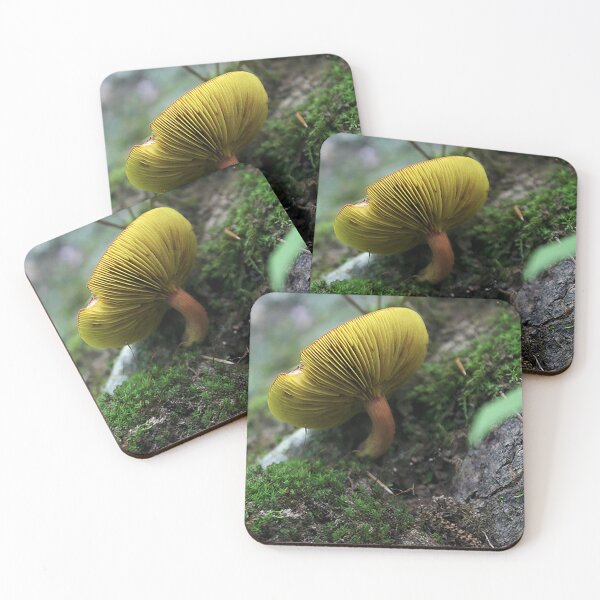 Item preview, Lone Mushroom designed and sold by Hoxypox.