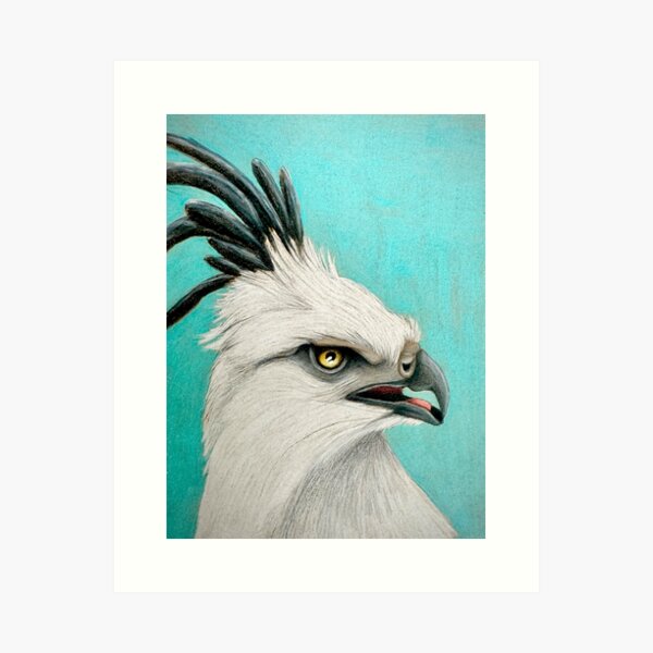 Harpy Eagle Giclée Art Print By Ben Rothery Illustrator