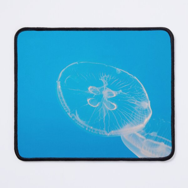 Item preview, Jellyfish - Original Photography designed and sold by JulienneJc.
