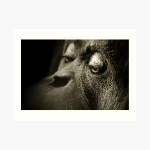 Dreams Art Print