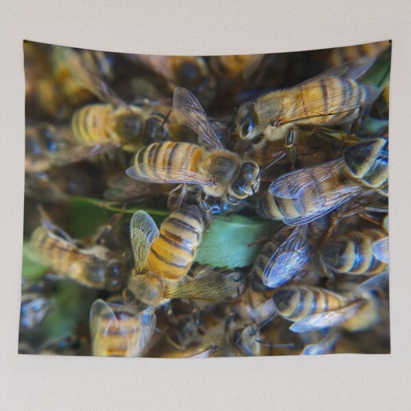 Item preview, Honeybee swarm  designed and sold by Katrina Valuyeva.