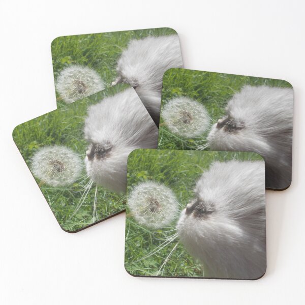 Item preview, Cute Cat Sniffing a Dandelion - Original Photography designed and sold by JulienneJc.