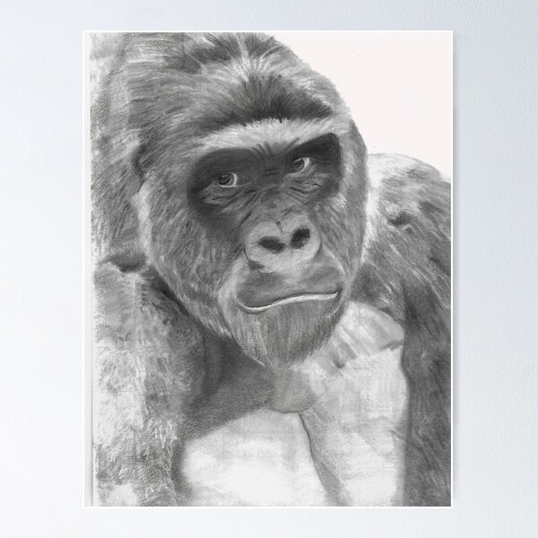 Item preview, Harambe designed and sold by mcgaritysgift.