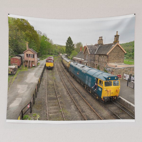 Item preview, Class 50 at Highley designed and sold by hawkie.
