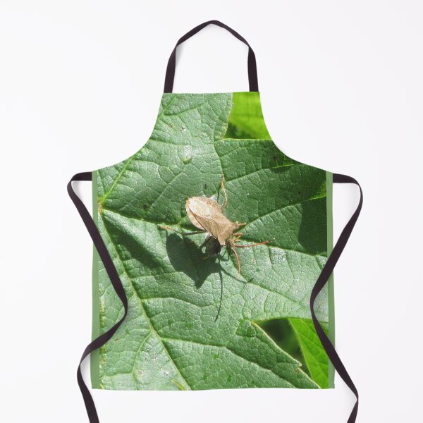 Item preview, Dock Bug - Coreus marginatus designed and sold by lezvee.