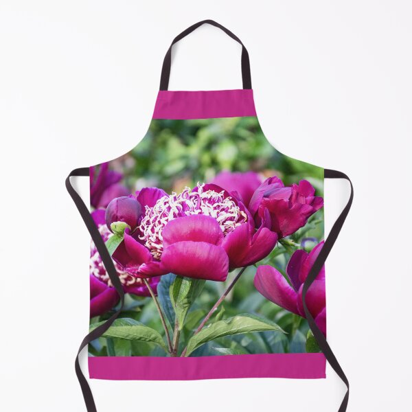 Item preview, Beautiful Deep Magenta Peonies in Late May designed and sold by SeaChangeDesign.