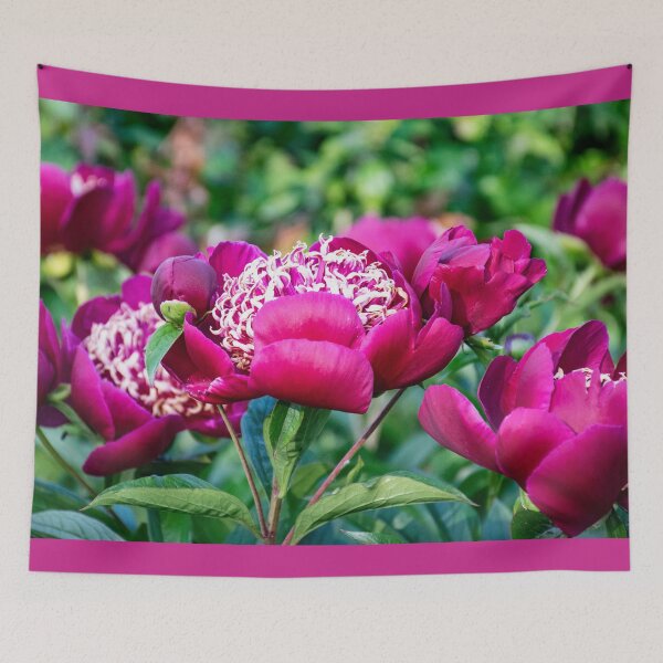 Item preview, Beautiful Deep Magenta Peonies in Late May designed and sold by SeaChangeDesign.