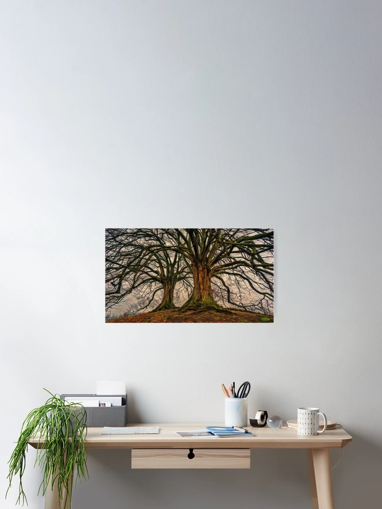 Thumbnail 2 of 3, Poster, Tree designed and sold by friendlychimp.