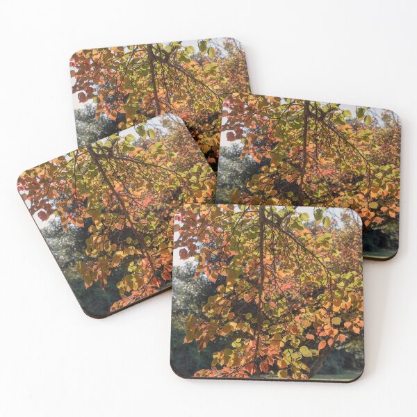 Item preview, Autumn Colours - Nepean Riverside (2) designed and sold by Josette Halls.