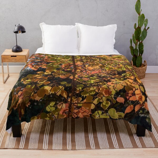 Item preview, Autumn Colours - Nepean Riverside (2) designed and sold by Josette Halls.