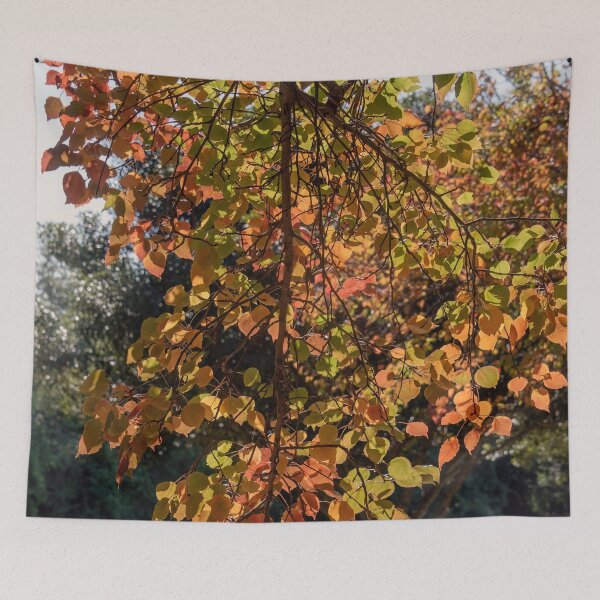 Item preview, Autumn Colours - Nepean Riverside (2) designed and sold by Josette Halls.