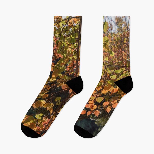 Item preview, Autumn Colours - Nepean Riverside (2) designed and sold by Josette Halls.