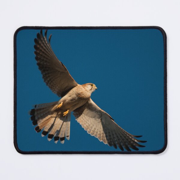 Item preview, Open Wings and Fading Light designed and sold by RussJenkins.