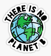 There is No Planet B Sticker
