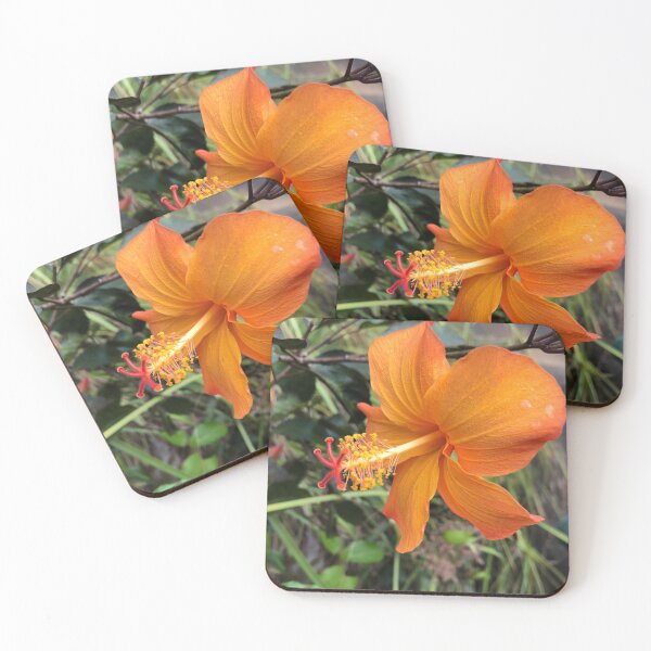 Item preview, Native Hawaiian hibiscus designed and sold by longduckdong02.