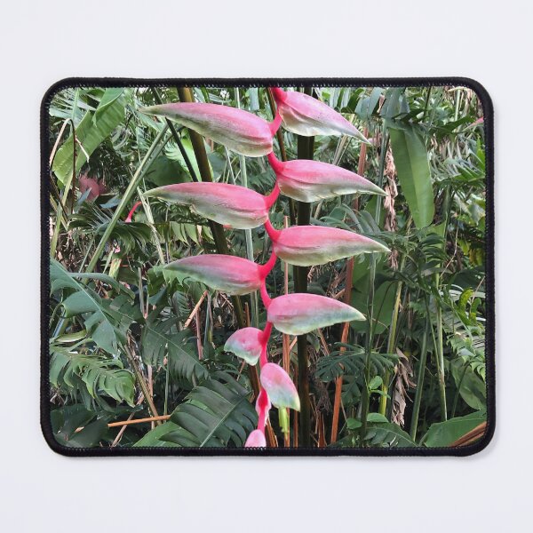 Item preview, Pink heliconia designed and sold by longduckdong02.