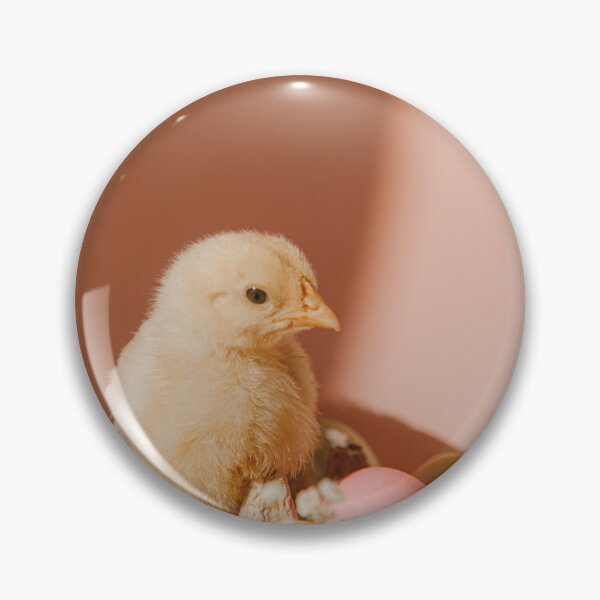 Item preview, chicks with colour eggs designed and sold by anil77kiran84.