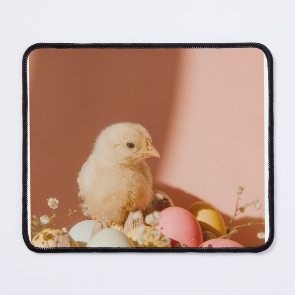 Item preview, chicks with colour eggs designed and sold by anil77kiran84.