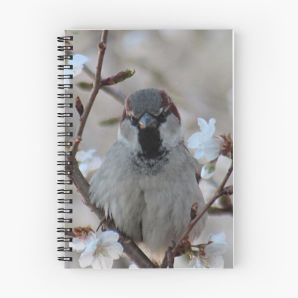 Item preview, Would you just take the picture already?! designed and sold by Linda Crockett.