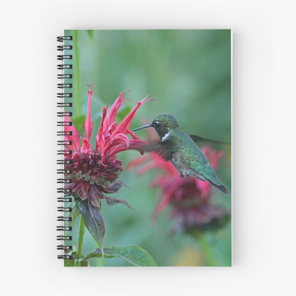 Item preview, Ruby-throated hummingbird and bee balm designed and sold by Linda Crockett.