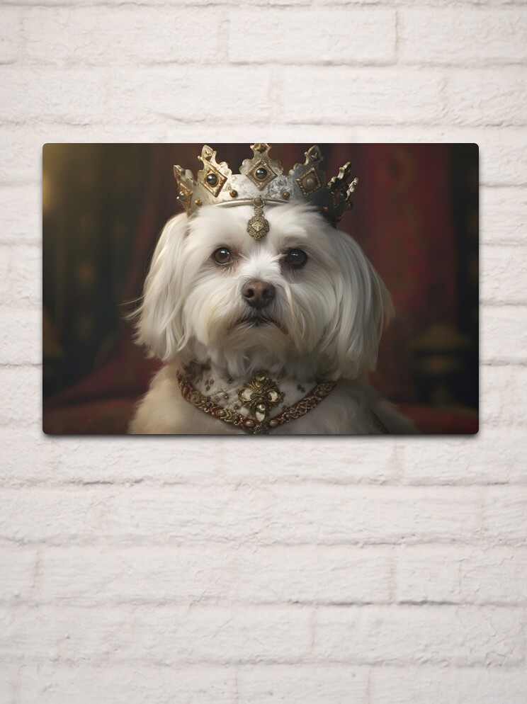 Maltese royalty discount