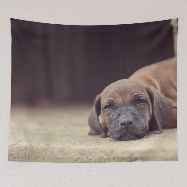 Item preview, cute ridgie puppy designed and sold by Gillian Vann.