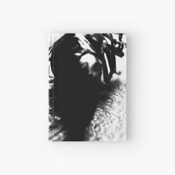 locust Hardcover Journal