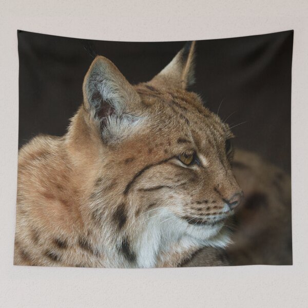 Item preview,  Intense Gaze Close-up of a Lynx designed and sold by rawshutterbug.