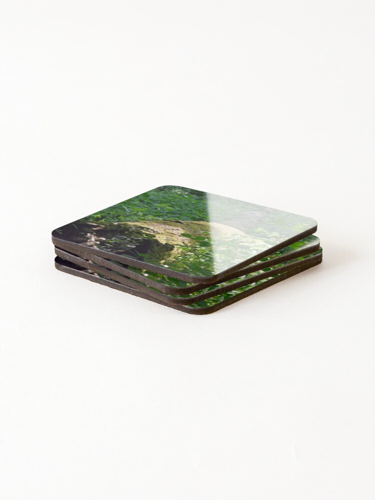 Thumbnail 4 of 5, Coasters (Set of 4), Lost designed and sold by RabbitHole13.