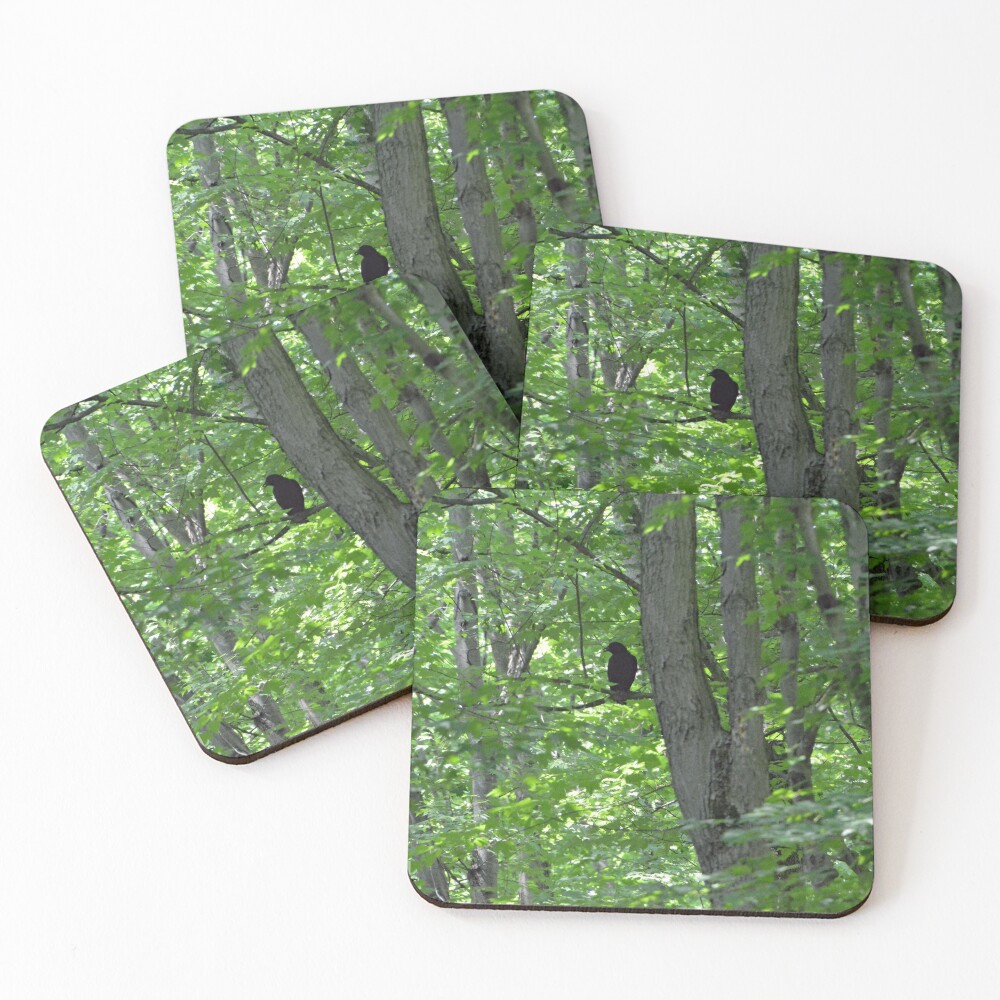 Item preview, Coasters (Set of 4) designed and sold by RabbitHole13.
