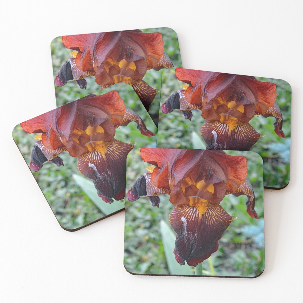 Item preview, Coasters (Set of 4) designed and sold by RabbitHole13.
